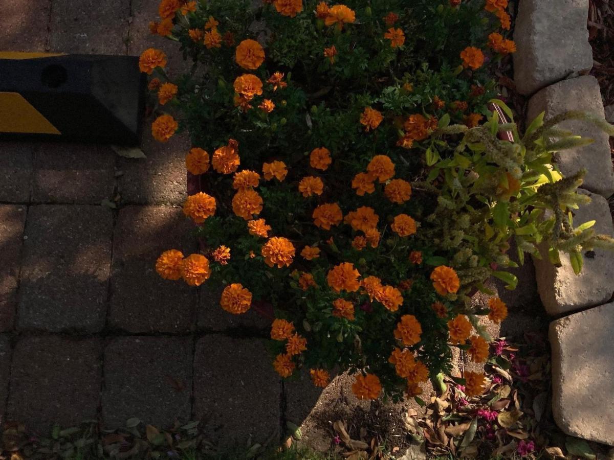 Granbury Gardens Bed And Breakfast Luaran gambar